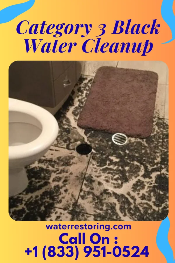 Category 3 Black Water Cleanup in Westminster, OH