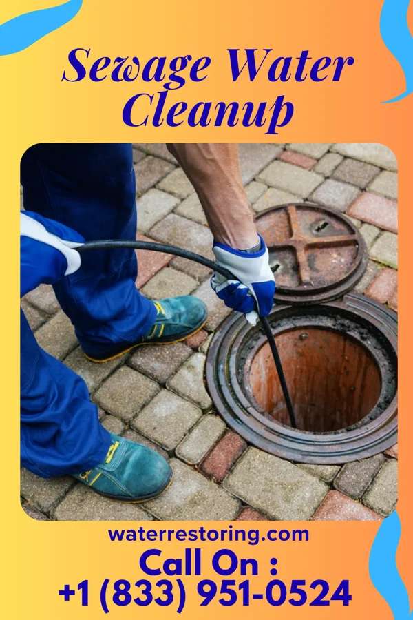 Sewage Water Cleanup in Westminster, OH